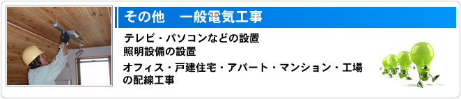 ���̑���ʓd�C�H��